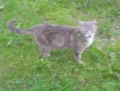 Роман Паньківський фотография #37 (источник - https://vk.com/id64889957)