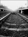 Анастасія Коваль фотография #5 (источник - https://vk.com/id31152503)