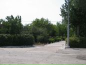 Иван Панченко фотография #40 (источник - https://vk.com/id55579)