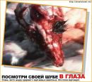 Nika Luganova фотография #37 (источник - https://vk.com/id2933334)
