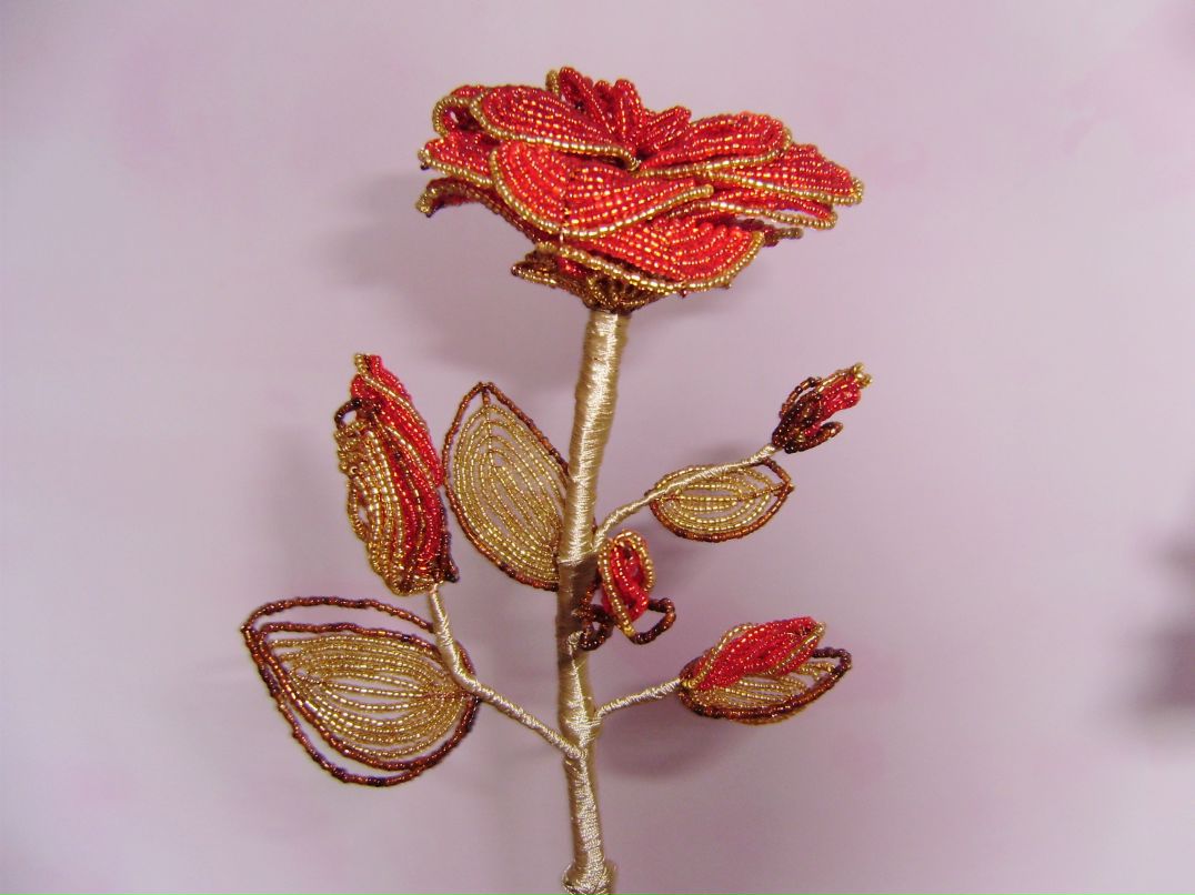 Наталия Левит фотография #44