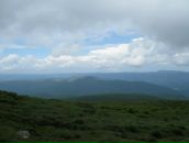 Александр Поліщук фотография #11 (источник - https://vk.com/id9517536)