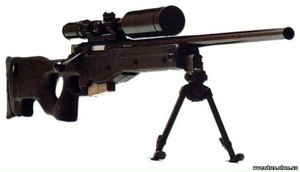 Дима Усенко фото №33