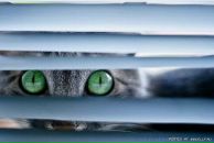 Фотография Шагидулина Эмиля