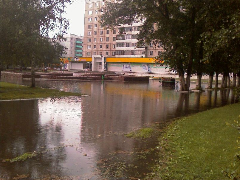 Дмитрий Че) фото №4