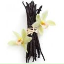 ♥...vanilla Dream...♥ фотография #14 (источник - https://vk.com/id120859763)