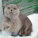 Фотография Рыбцевой Татьяны