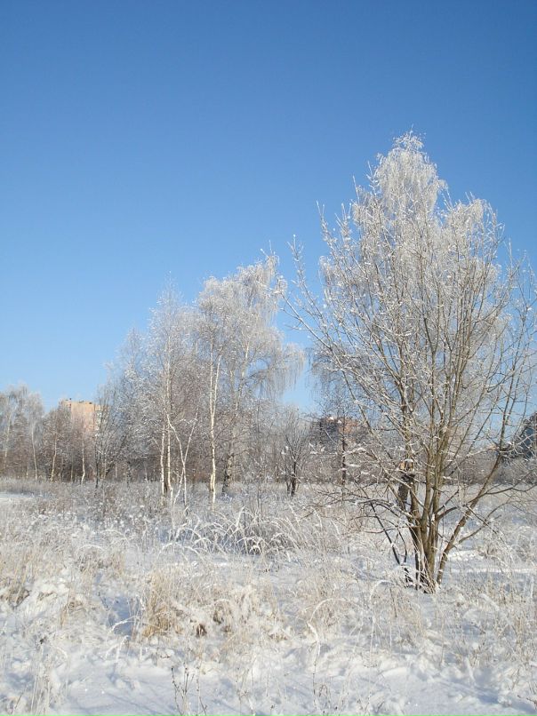 Дмитрий Лаёв фотография #38