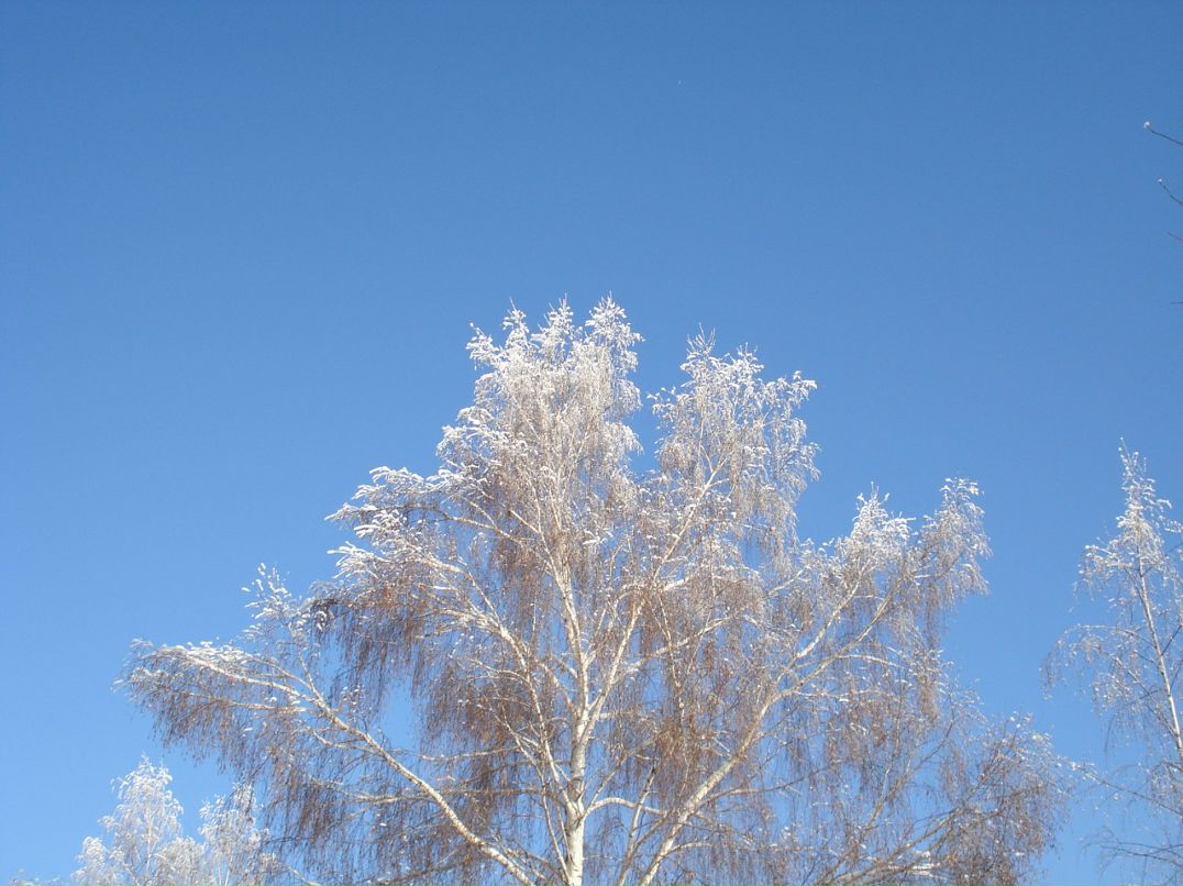 Дмитрий Лаёв фотография #28