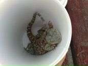 Степан Сурков фотография #42 (источник - https://vk.com/id5764311)