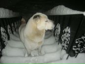 Фотография Железновой Вассы