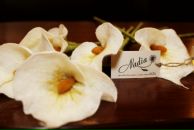 Фотография Телюк Надежды