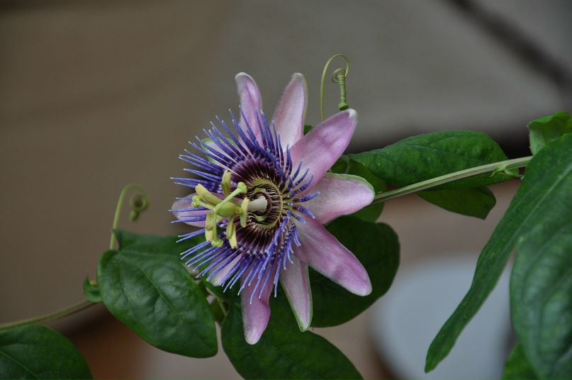 Марк Макаров фотография #18