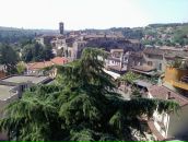 Артур Алістренко фотография #4 (источник - https://vk.com/id30488486)