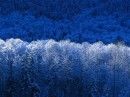 Аліна Пращур фотография #1