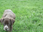 Іван Алмаші фотография #30 (источник - https://vk.com/id89643469)