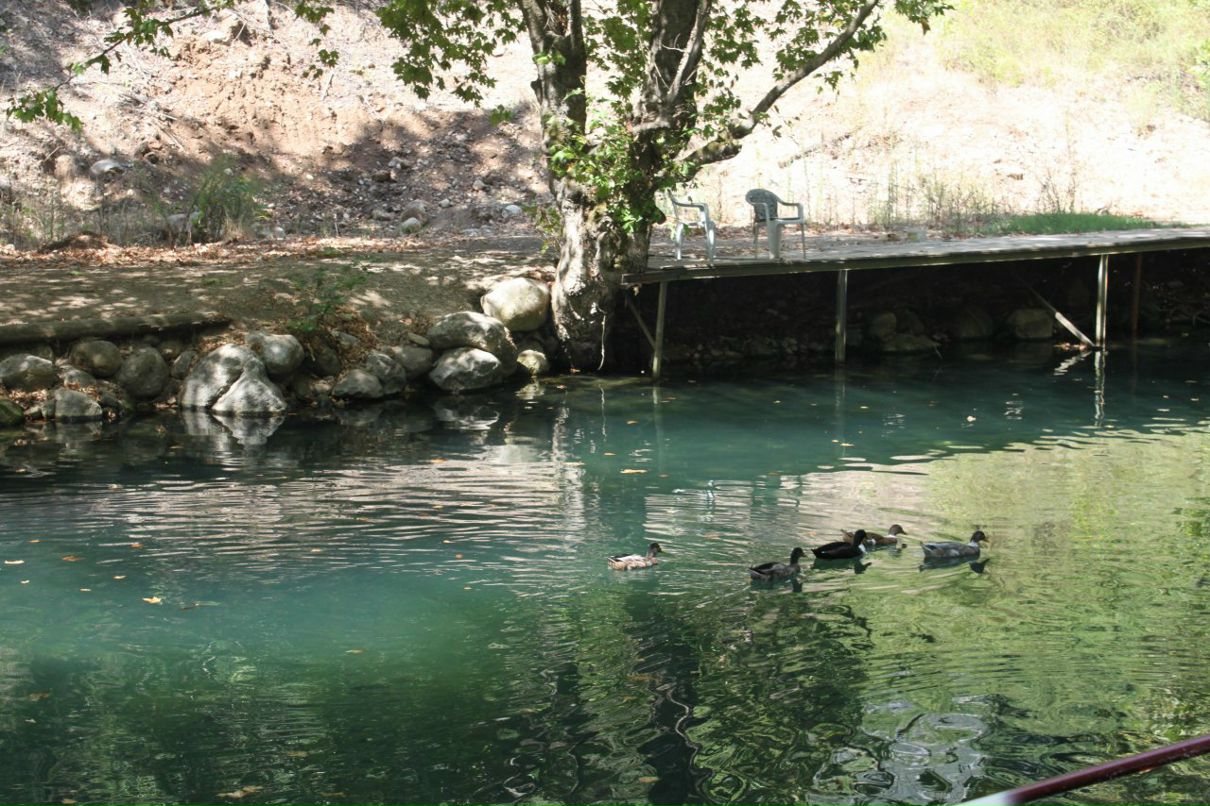 Тимур Бабаев фотография #36