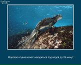 Фарид Мударрис фотография #30 (источник - https://vk.com/id90649712)