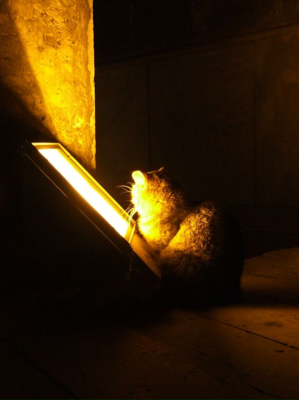 Илья Букеев фотография #31