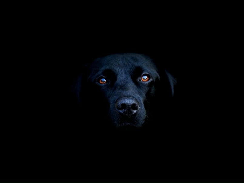 Михаил Валеев фотография #41