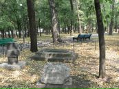 Роман Хабиров фотография #33 (источник - https://vk.com/id15676833)