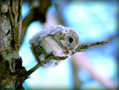 Фотография Мосиной Елены