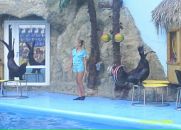 Міша Солтис фотография #45 (источник - https://vk.com/id85208825)