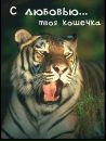 Ліза Кох фотография #11 (источник - https://vk.com/id94423636)