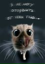 Сергій Плиска фотография #31 (источник - https://vk.com/id123117716)