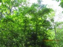 Ілюша Гаєвський фотография #12 (источник - https://vk.com/id49575588)