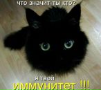 Фотография Катковой Ярославы