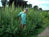 Фотография Марлей Анастасии