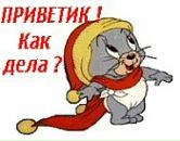 Свєтік Гончарук фотография #35 (источник - https://vk.com/id91870746)