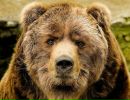 Фотография Дубинина Александра