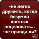 Дашуля:* Кисуля:** фотография #16 (источник - https://vk.com/id154203734)