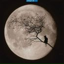 Фотография Мардановой Зульфии