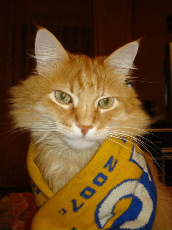 Testwebpage Testwebpage фотография #50