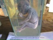 Любава Субботина фотография #11 (источник - https://vk.com/id69171592)