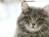 Фотография Пятницыной Татьяны