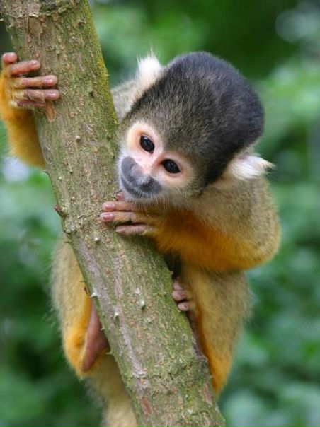 Сергей Бендс фото №2