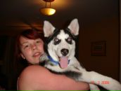 Фотография Горбачевой Дианы