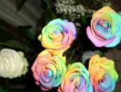 Valya Electra фотография #3 (источник - https://vk.com/id6094904)