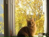 Фотография Зайко Олеси