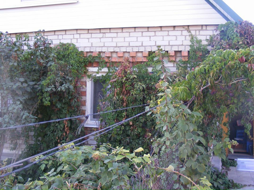 Виктор Астафьев фотография #32