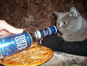 Фотография Иванова Евгения