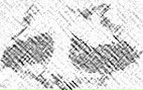 Фотография Сауткина Михаила