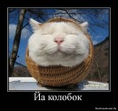 N[i]ki Baby фотография #5 (источник - https://vk.com/id66662499)