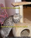 Таня Дубій фотография #38 (источник - https://vk.com/id112909584)
