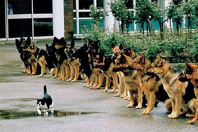 Шурик Шульпин фотография #1