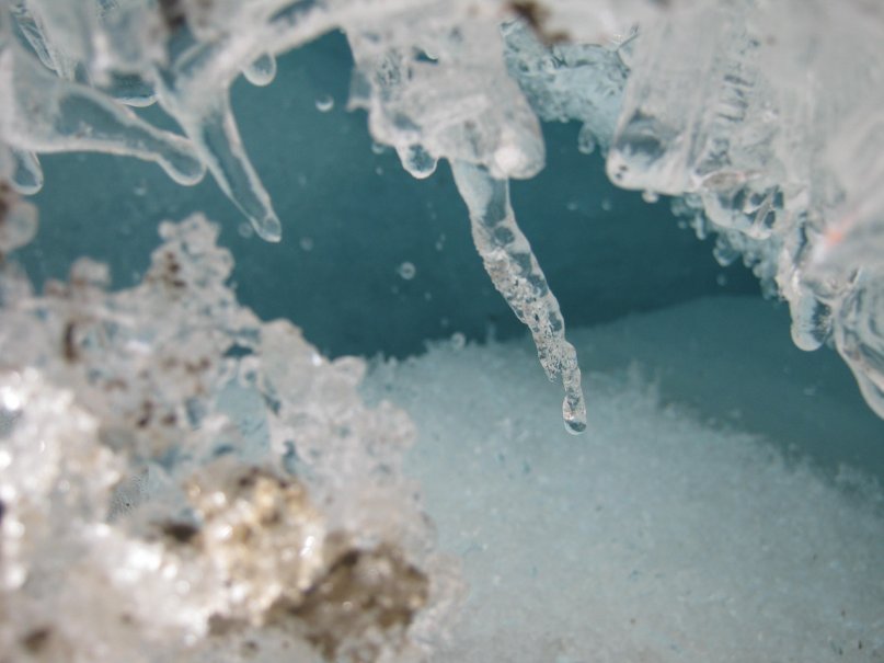 Серега Плотников фотография #39